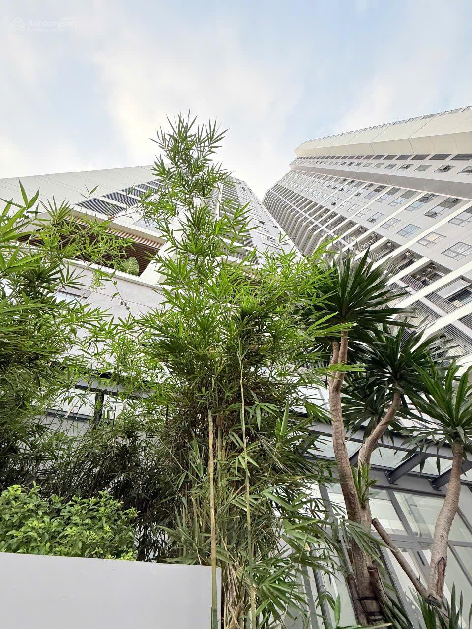 TIẾN BÁN CĂN HỘ HONAS GIÁ TỐT NHẤT 1PN1WC CHỈ 1TỶ 450 TRIỆU BTP TIẾN BÁN CĂN HỘ HONAS GIÁ TỐT NHẤT 1PN1WC CHỈ 1TỶ 450 TRIỆU BTP