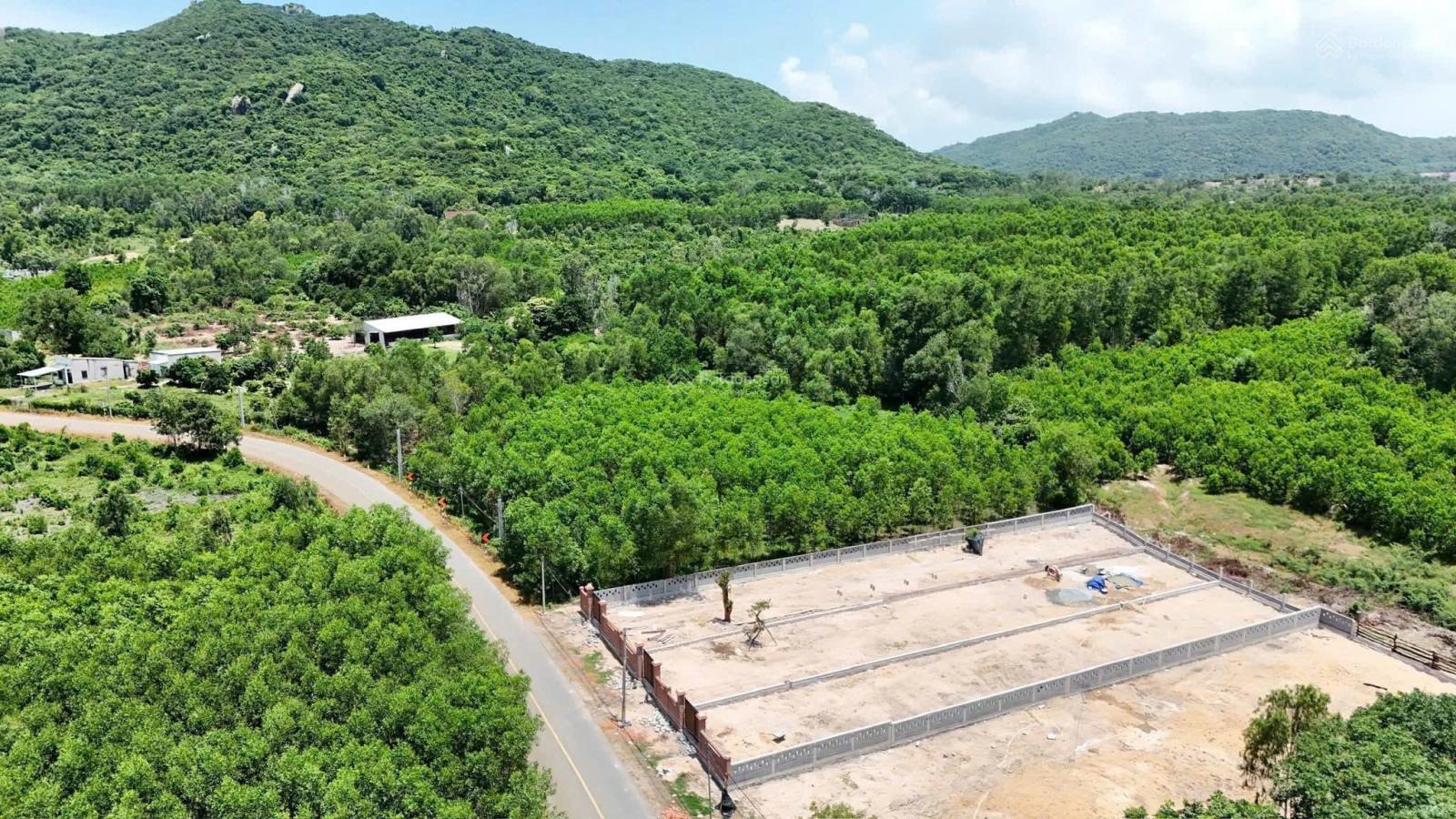 Bán đất 599,6m2 tại Phước Hưng, Phước Hải, Long Đất, 2,85 tỷ