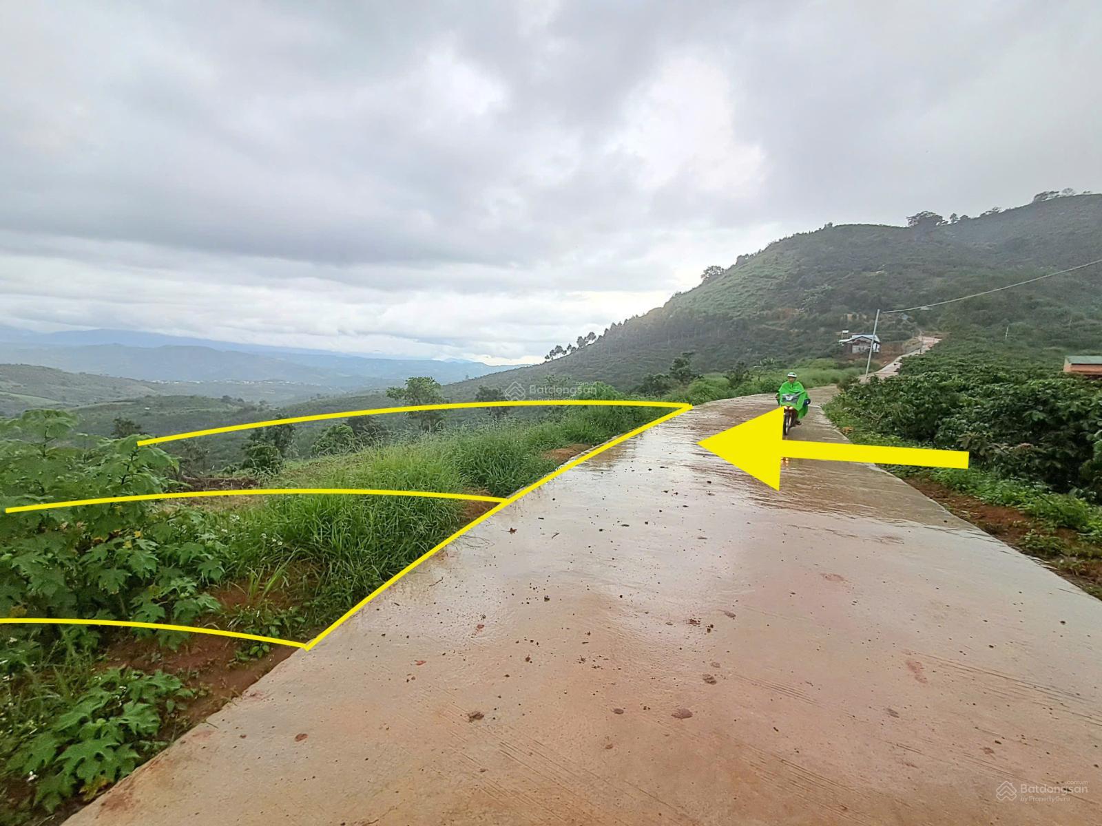 Đất 5000m2 đã tách 2 sổ. Dân cư điện nước đầy đủ xe hơi vào tận nơi