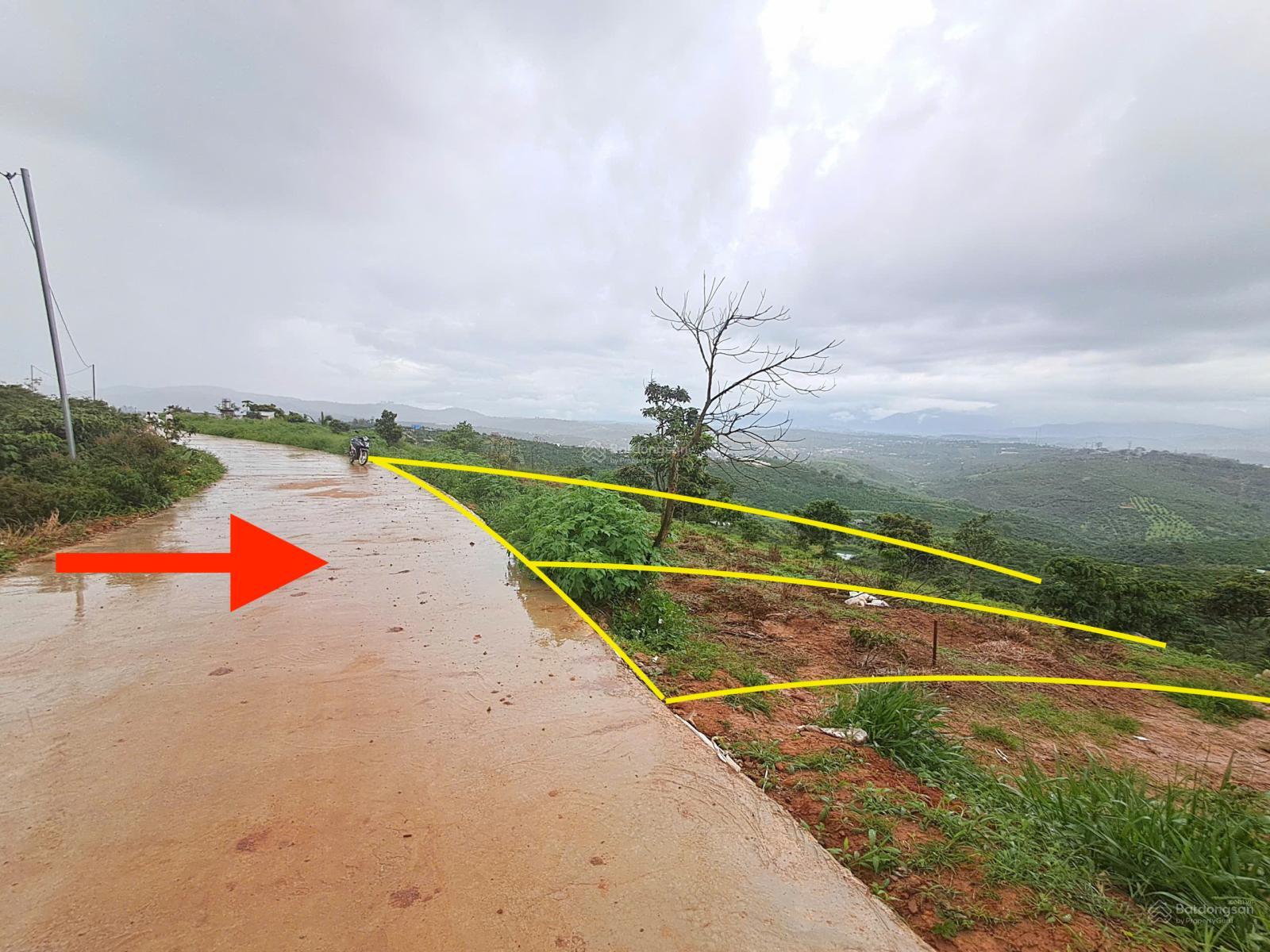 Đất 5000m2 đã tách 2 sổ. Dân cư điện nước đầy đủ xe hơi vào tận nơi