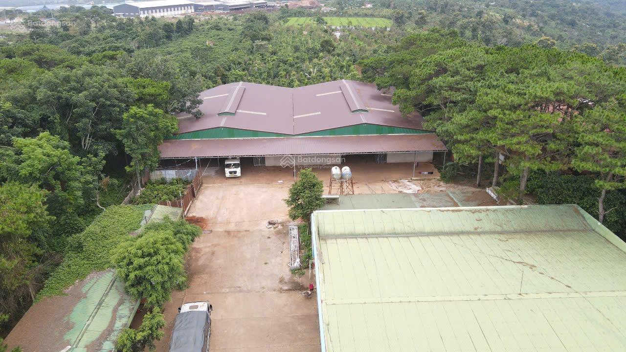 Chuyển nhượng cụm cây xăng, kho xưởng đang kinh doanh, pháp lý skc 17.000m2