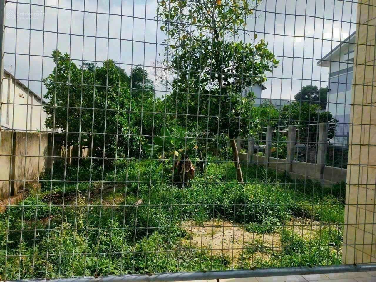 Bán đất phân lô BỒ CÂU CHIẾN SỸ tuyệt đẹp 58m chỉ 11.9 tỷ