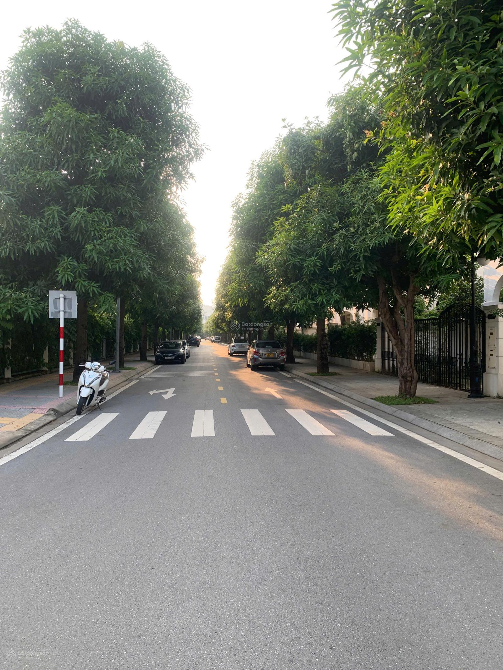 24 tỷ! Biệt thự song lập Hải Âu 150m2 Đông Nam, gần Vincom Vinhomes Ocean Park Gia Lâm, Hà Nội