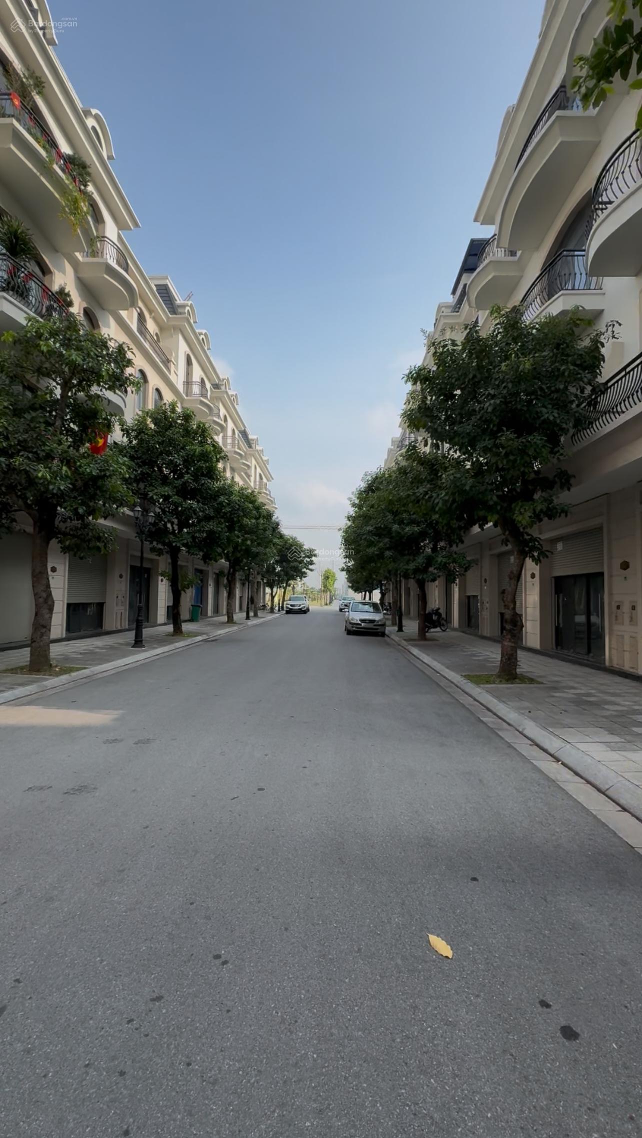 Thiện chí bán gấp biệt thự mini 97,5m2 có sân vườn gần chung cư VH Ocean Park 2 sẵn sổ, giá 13 tỷ 2