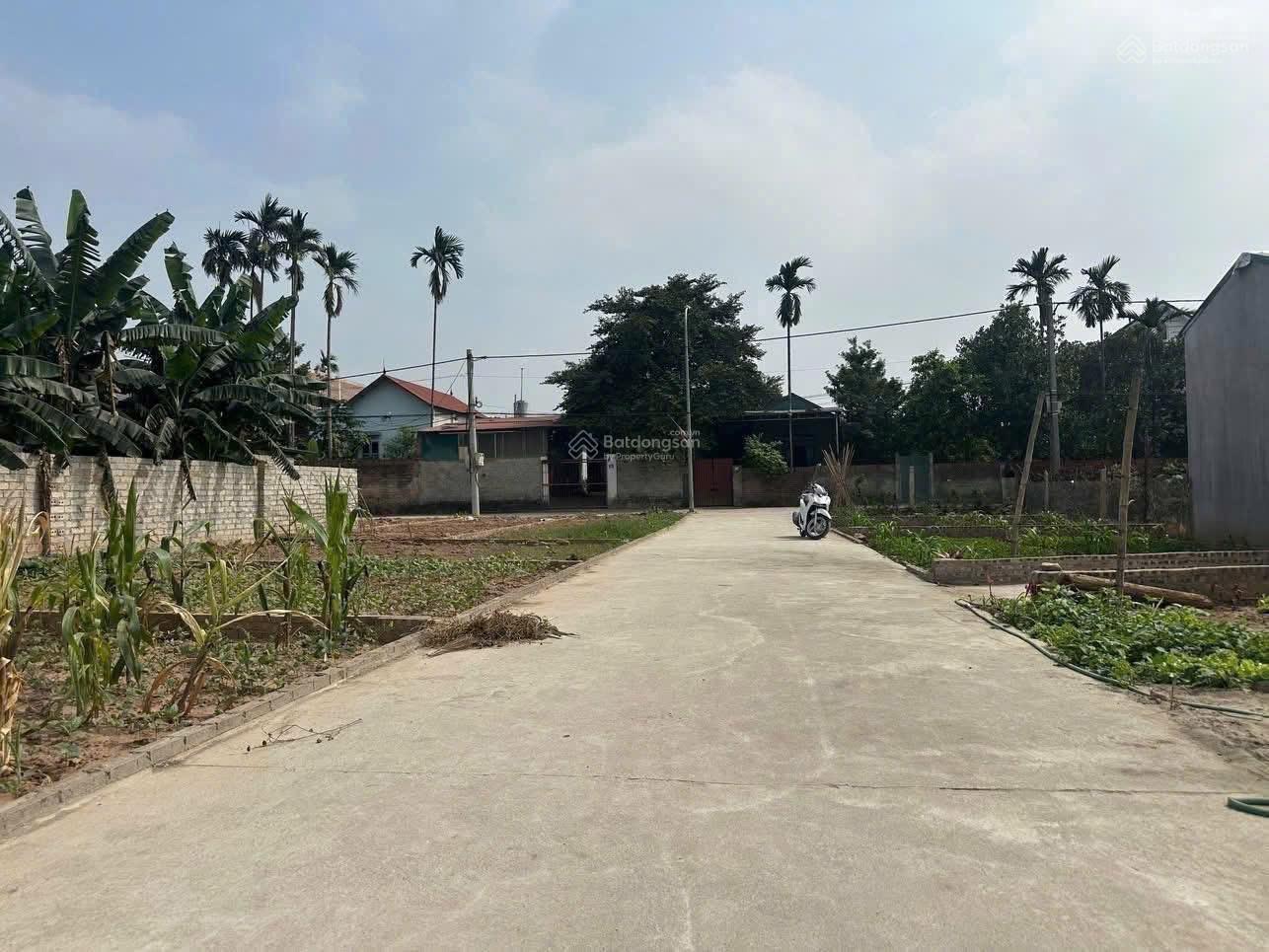 Chính chủ cần tiền bán mảnh đất Phương Độ diện tích 51. Ô tô đỗ cửa lô góc hai mặt thoáng