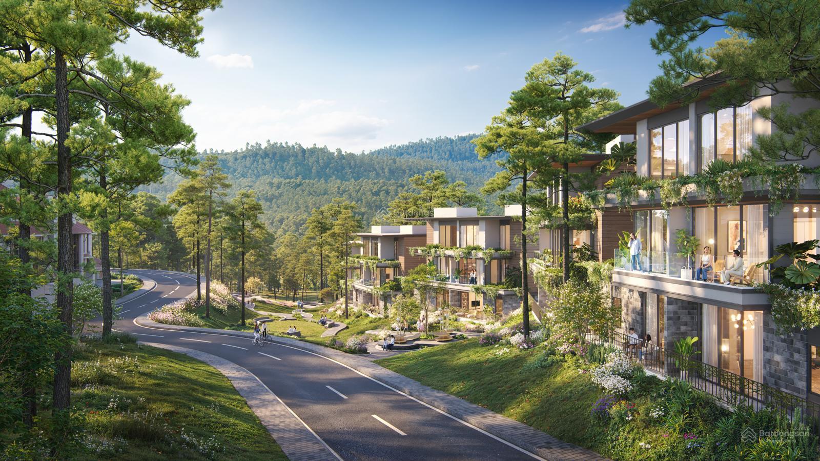 Biệt thự Thanh Xuân Valley view thông 50 năm tuổi, giá từ 9 tỷ, 3 tầng, view hồ, InterContinental