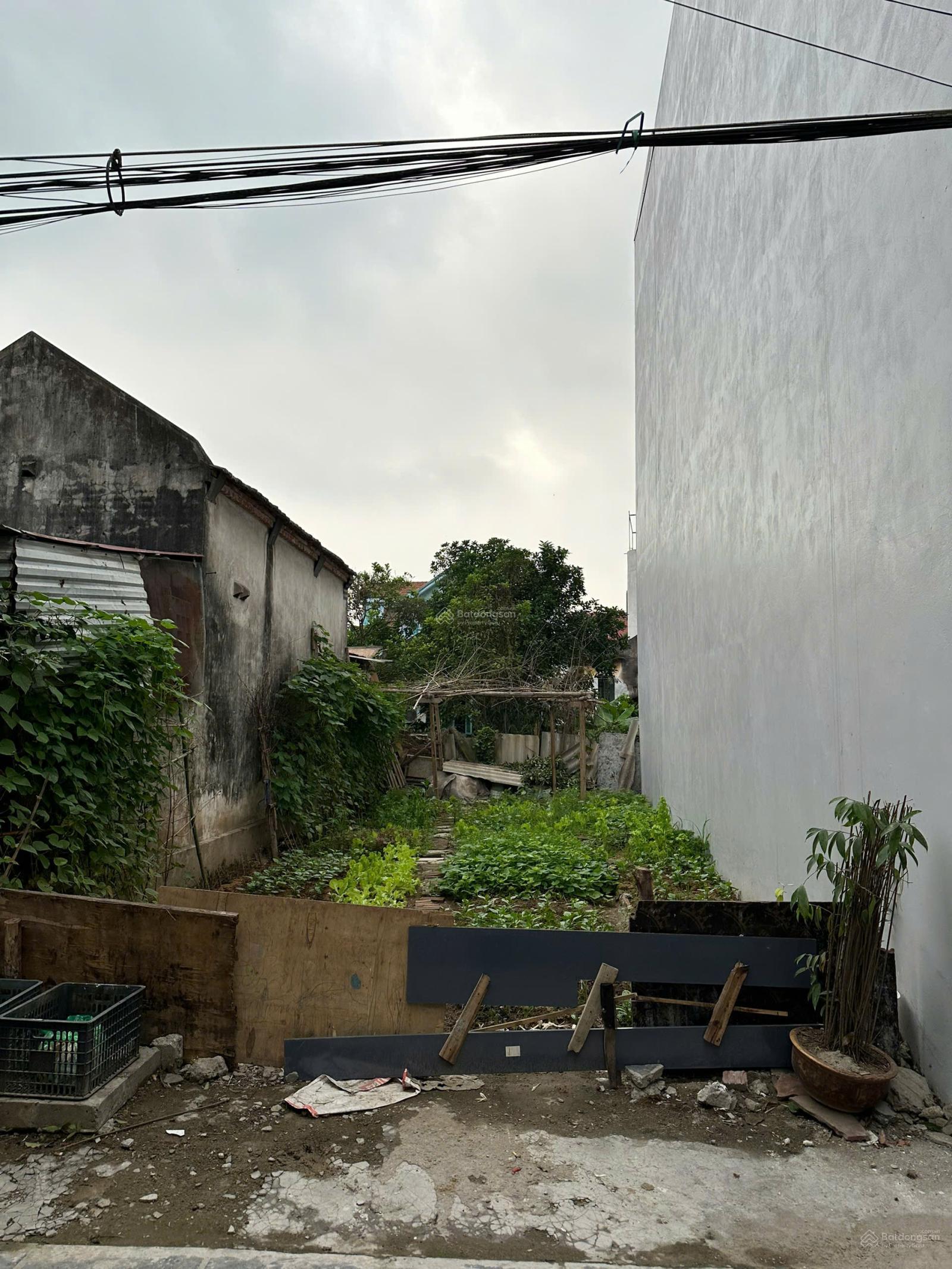 Đất thổ cư Lộc Hà, Xã Mai Lâm. Gần Cầu Tứ Liên và Vinhomes Cổ Loa 65m2 nở hậu