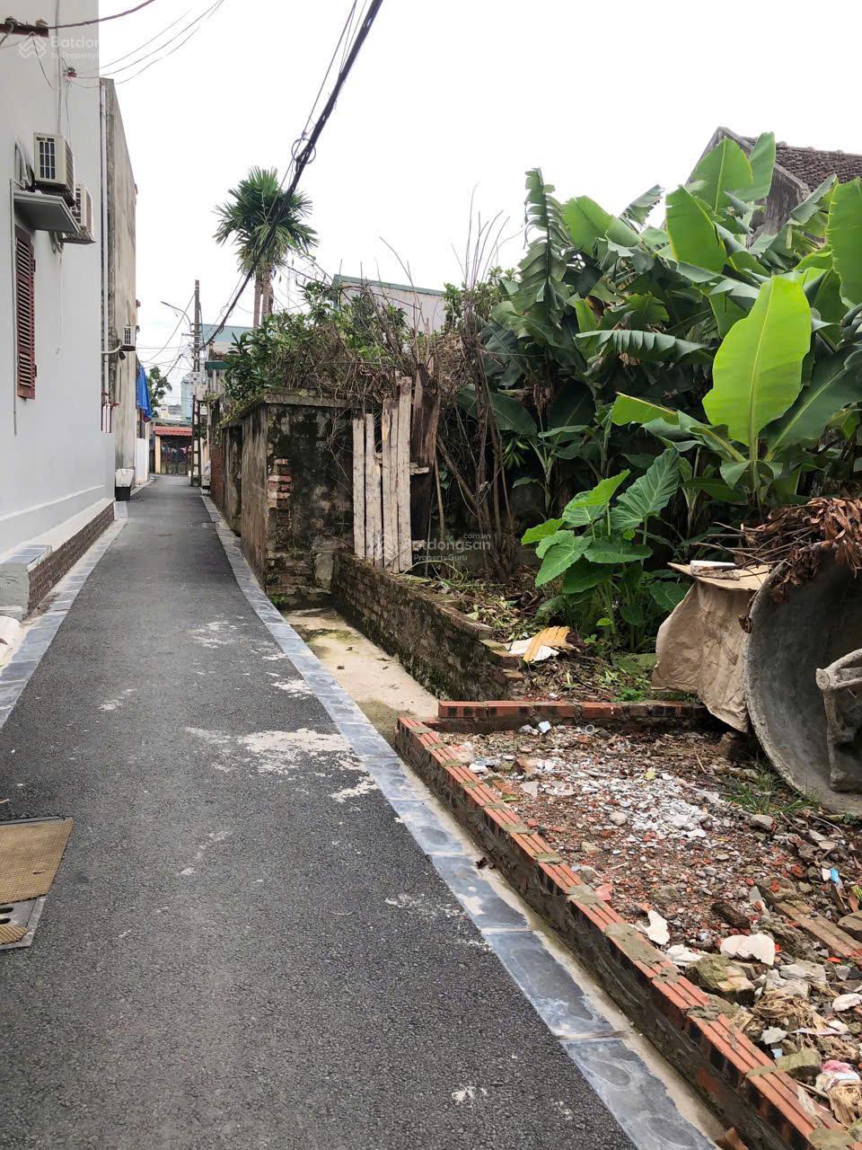 Đất thổ cư Lộc Hà, Xã Mai Lâm. Gần Cầu Tứ Liên và Vinhomes Cổ Loa 65m2 nở hậu