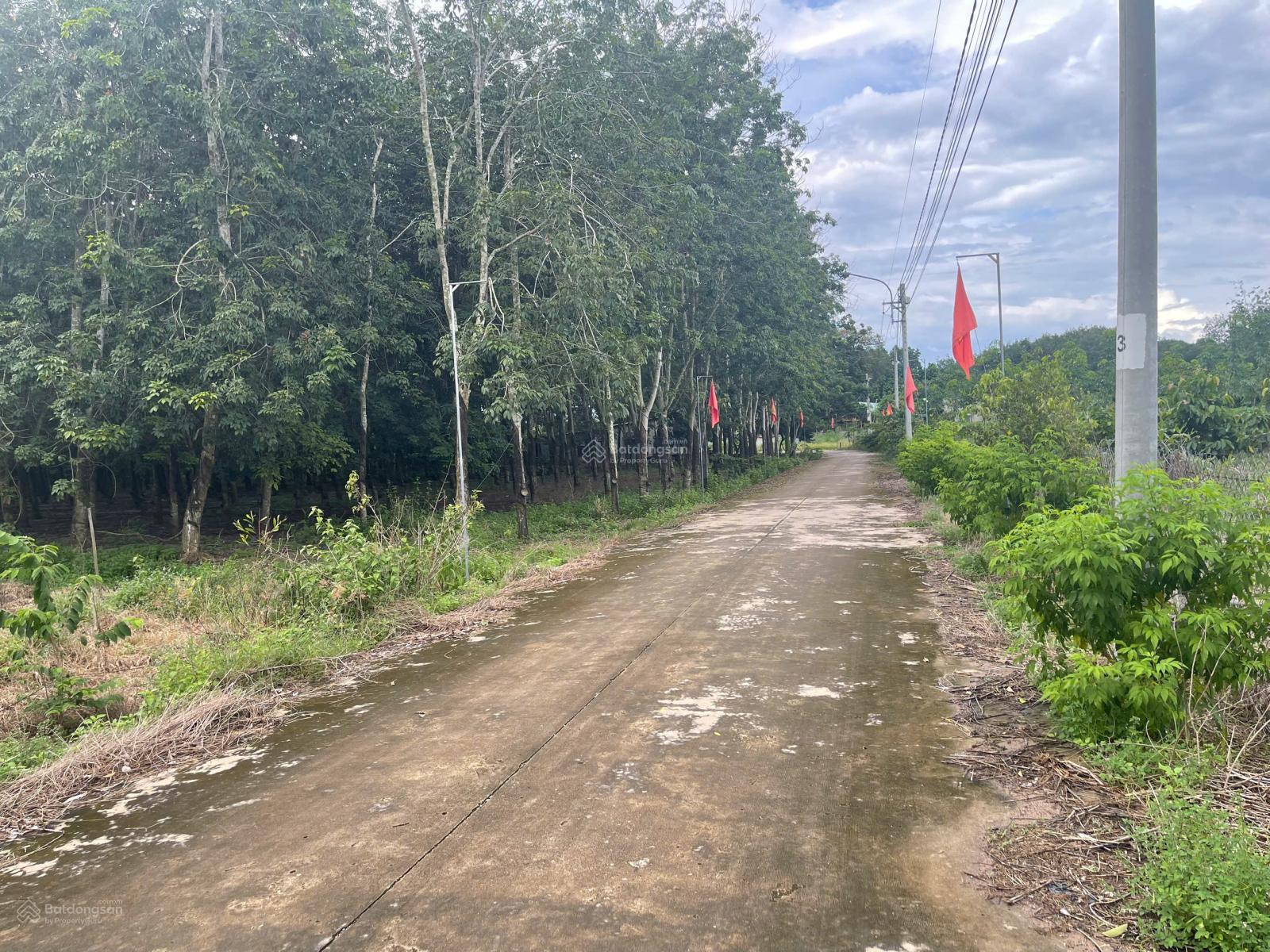 Cần ra lô đất đẹp cạnh trường học thuộc xã An Long, TP. HCM. Sổ hồng riêng giá 520 triệu