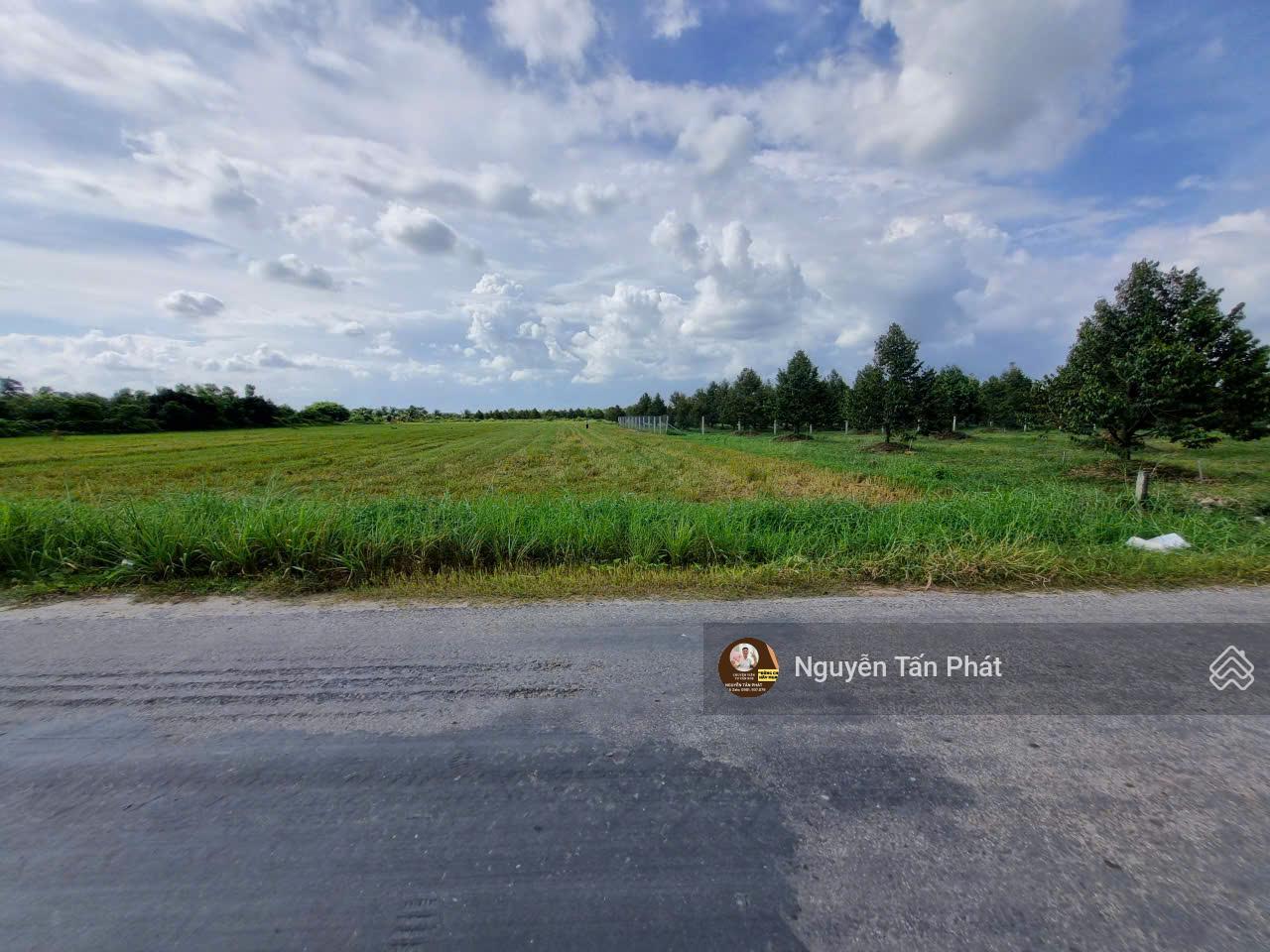 7000m2 có 1600m2 thổ cư. Ngay khu đô thị Phước Đông. 12,4 tỷ 7000m2 có 1600m2 thổ cư. Ngay khu đô thị Phước Đông. 12,4 tỷ