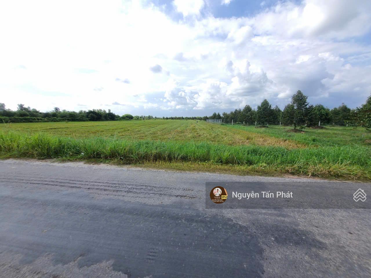 7000m2 có 1600m2 thổ cư. Ngay khu đô thị Phước Đông. 12,4 tỷ 7000m2 có 1600m2 thổ cư. Ngay khu đô thị Phước Đông. 12,4 tỷ