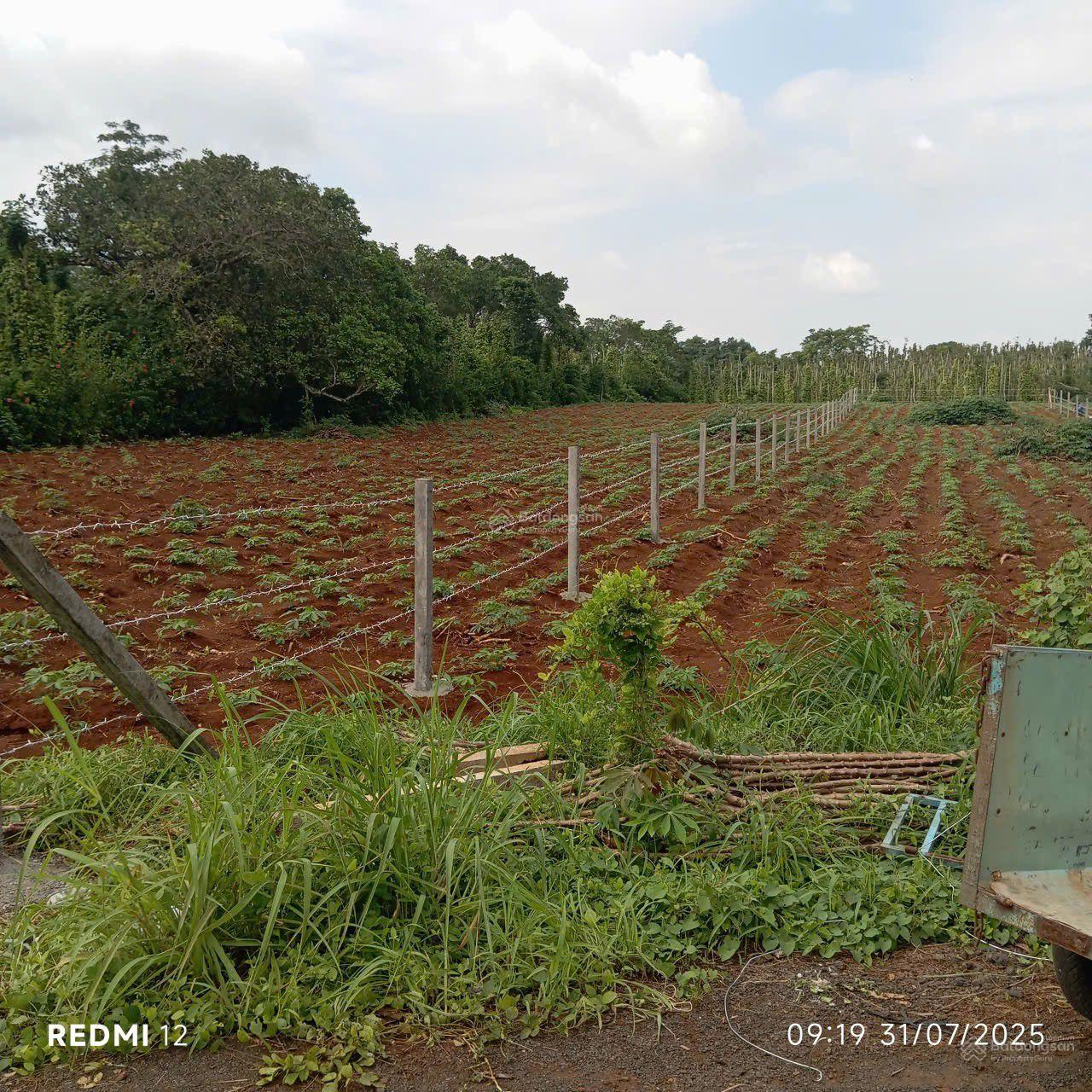 Cách hồ Sông Ray 800m sát nhiều khu nghỉ dưỡng