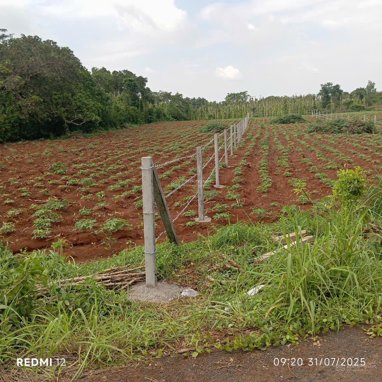 Cách hồ Sông Ray 800m sát nhiều khu nghỉ dưỡng