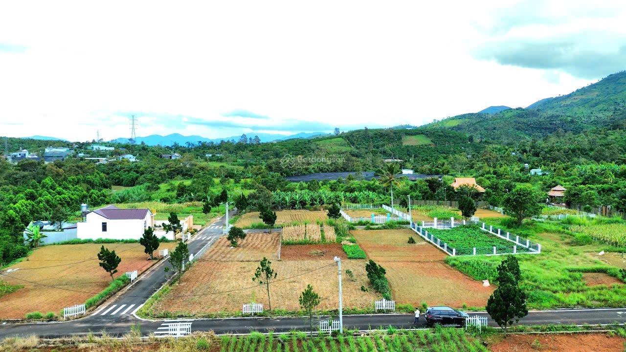 Hẻm Trần Hưng Đạo - Lộc Sơn - Bảo Lộc giá: 2 tỷ 150 triệu - diện tích: 14x24m có 100m² thổ cư Hẻm Trần Hưng Đạo - Lộc Sơn - Bảo Lộc giá: 2 tỷ 150 triệu - diện tích: 14x24m có 100m² thổ cư