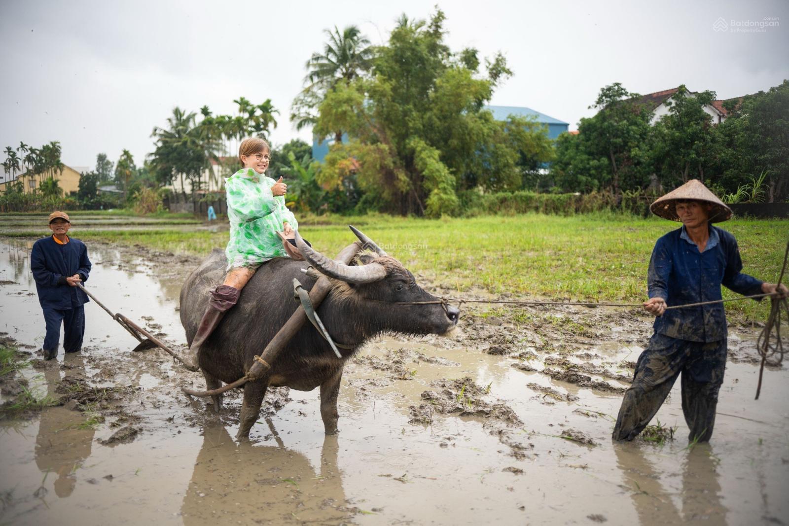 Sở hữu đất mặt tiền Đường Lê Thánh Tông  Ngắm trọn đồng quê An Mỹ ngay giữa lòng Hội An (MS487)