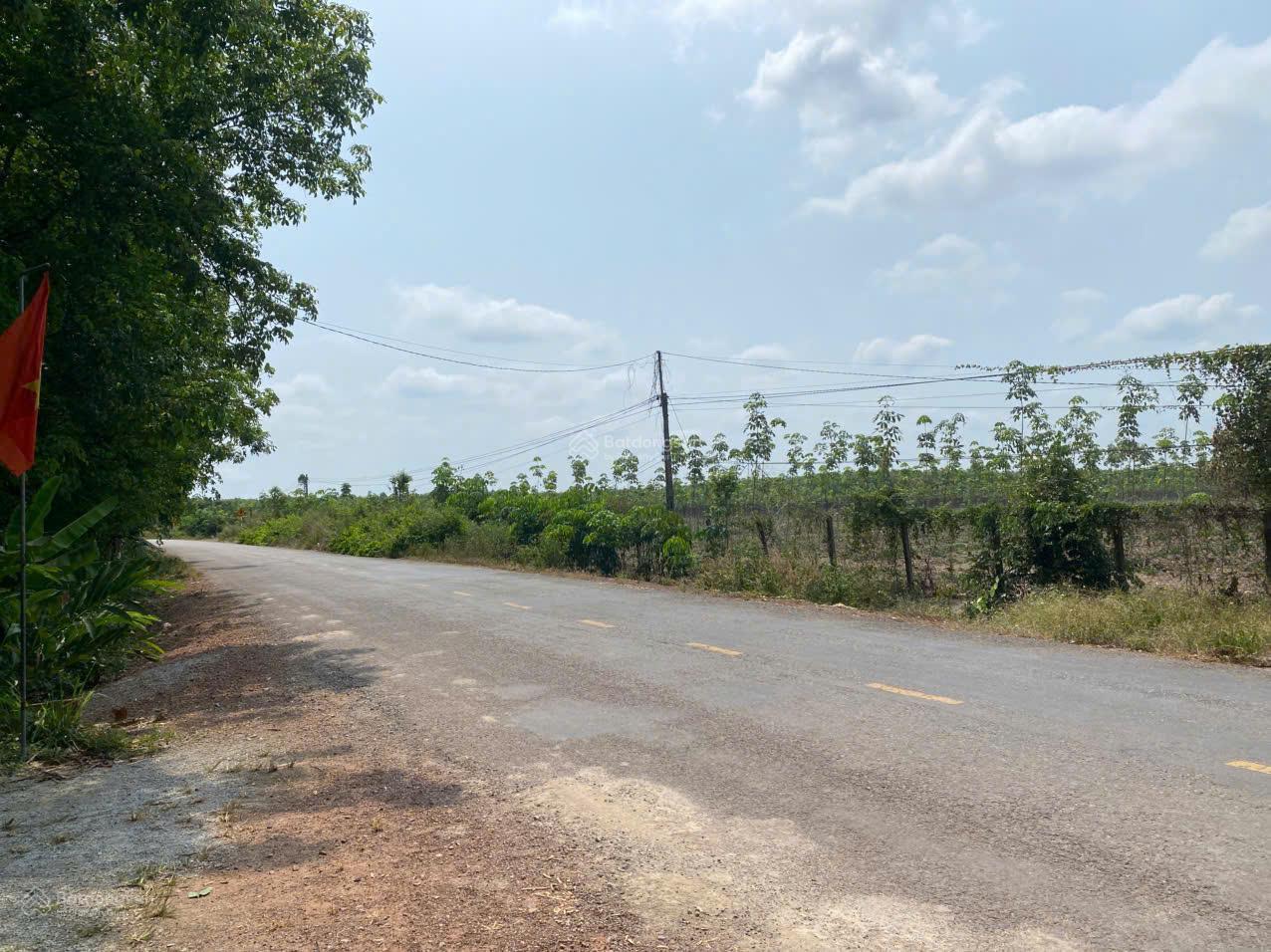 Siêu phẩm 50hec mặt tiền bao quanh đất chỉ 500k/m2 Siêu phẩm 50hec mặt tiền bao quanh đất chỉ 500k/m2