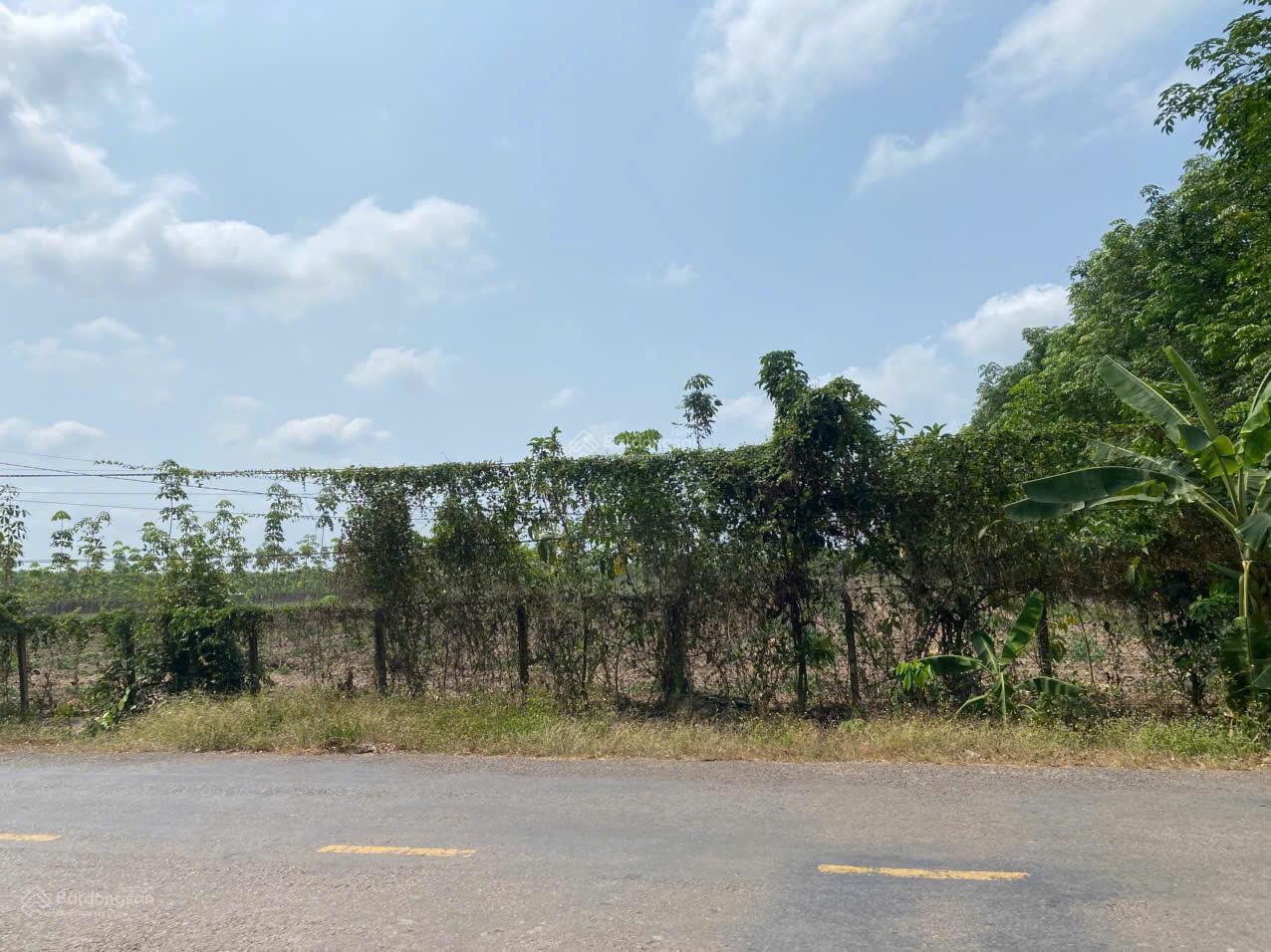 Siêu phẩm 50hec mặt tiền bao quanh đất chỉ 500k/m2 Siêu phẩm 50hec mặt tiền bao quanh đất chỉ 500k/m2