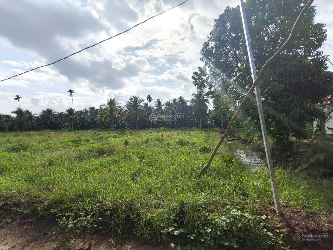 Siêu phẩm đất vườn 16.000m² có nhà 3PN sát cầu Rạch Miễu 2 (800m)