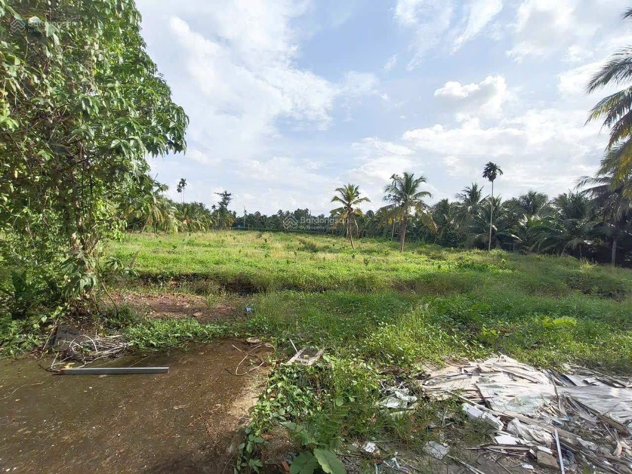 Siêu phẩm đất vườn 15,579m2 có nhà vườn 3PN sát cầu Rạch Miễu 2 (800m) mới thông xe