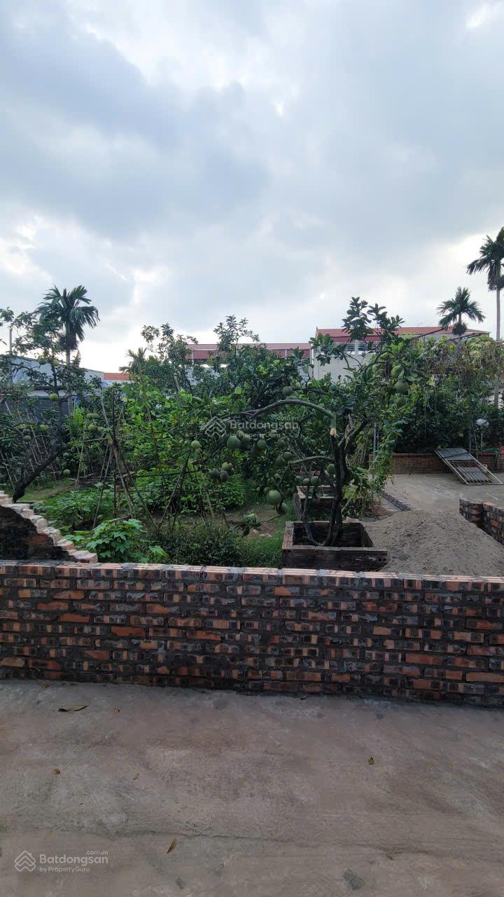 CC gửi bán full thổ cư tại xã Tráng Việt, Huyện Mê Linh nay thuộc xã Mê Linh, ngay bìa làng CC gửi bán full thổ cư tại xã Tráng Việt, Huyện Mê Linh nay thuộc xã Mê Linh, ngay bìa làng