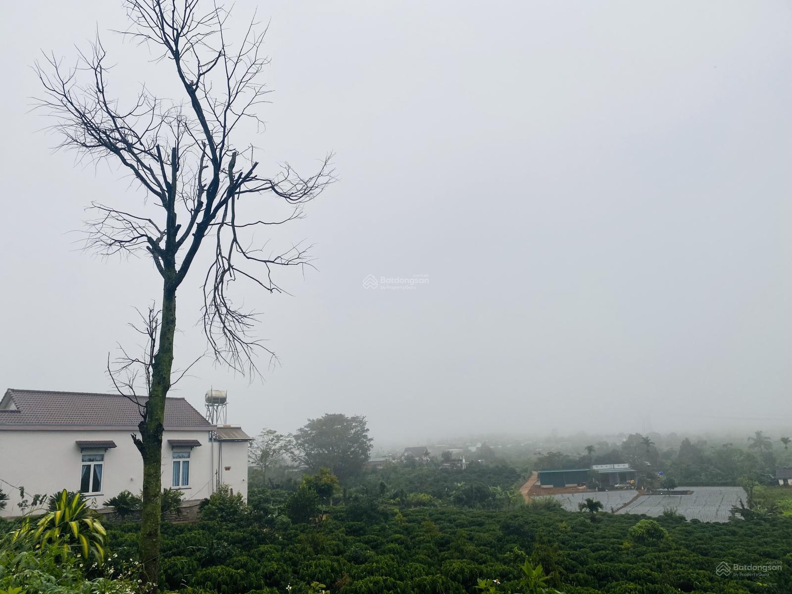 8x50m đất đường Trần Phú, cách chợ Tân Hà 5P