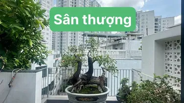 Nhà đẹp 5 tầng Quận 6 Khu compound dân trí cao, chỉ 8,95 tỷ LH 0939 368 ***
