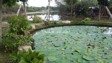 Bán đất view sông thoáng mát Quốc Lộ 50, Bình Chánh giá chỉ 5 tỷ/88m² LH 0939 368 ***