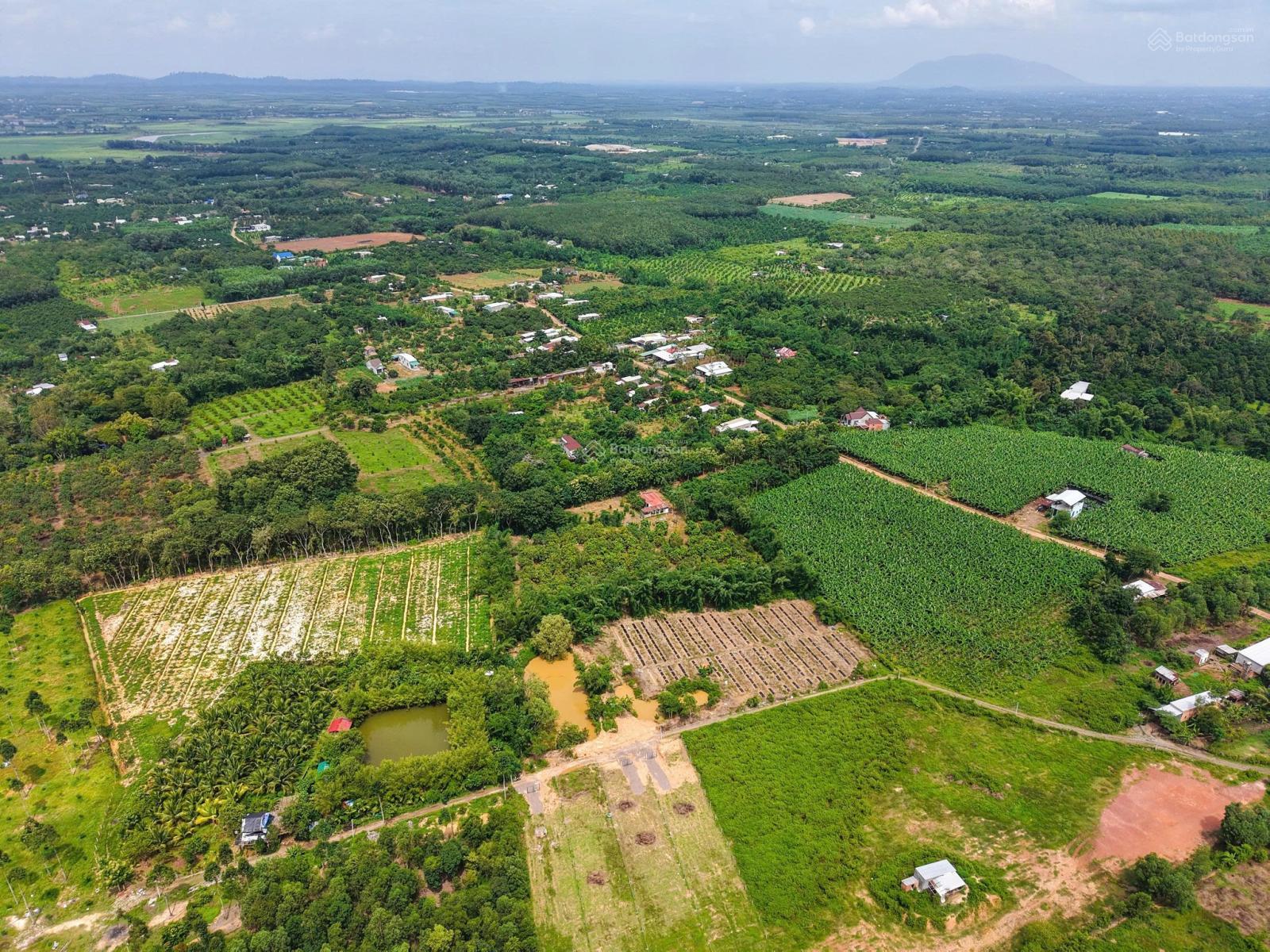 Bán đất tại Xã Phú Ngọc, Định Quán, Đồng Nai, 1,35 tỷ, 6846m2 có 80m mặt tiền