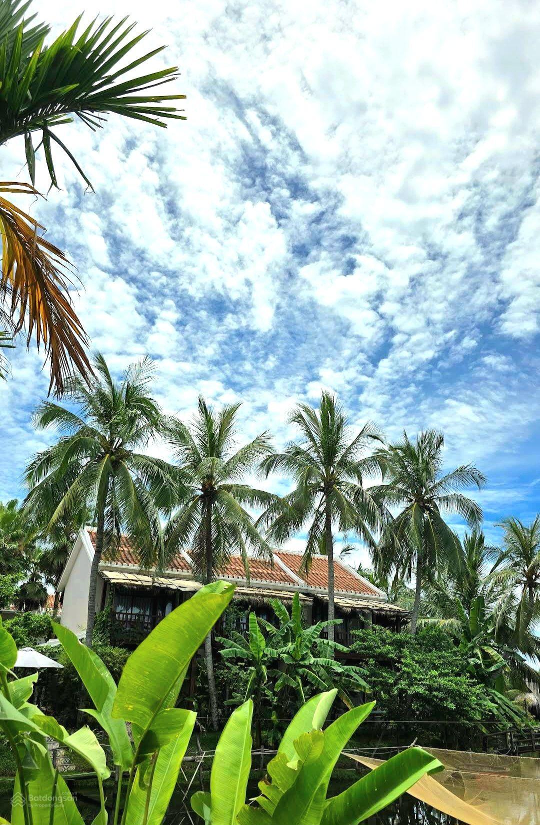 Dx18 Cẩm Thanh, view hồ dừa đẹp giá tốt