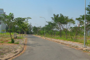 Chủ cần bán mặt tiền Nguyễn Lương Bằng 15B giá 53tr/m DT 12mx24m hàng vip!