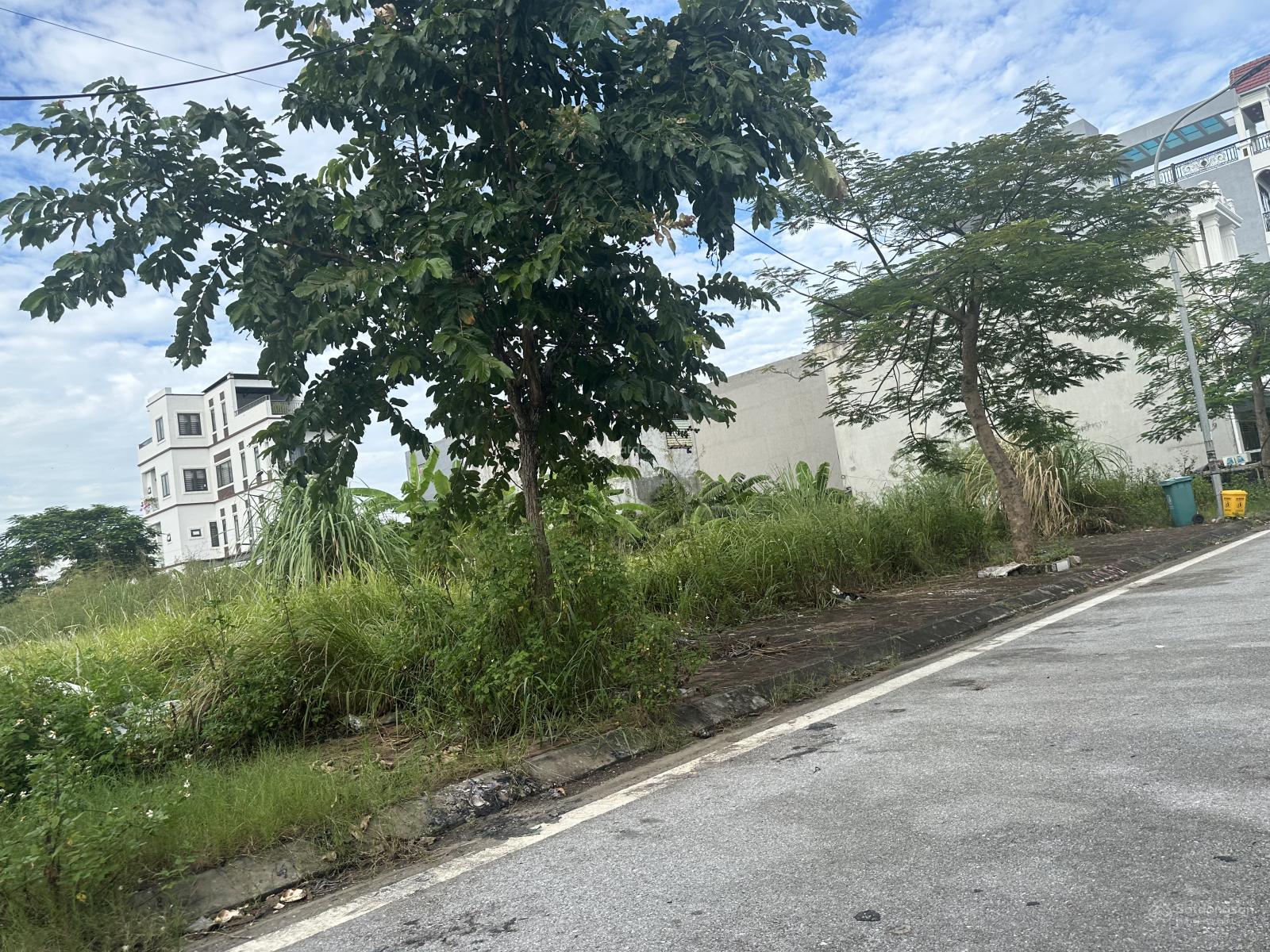 Chính chủ gửi bán 20 lô khu A - BSC giá đầu tư cực tốt từ 2,8 tỷ. (A14 - A15 - A16)