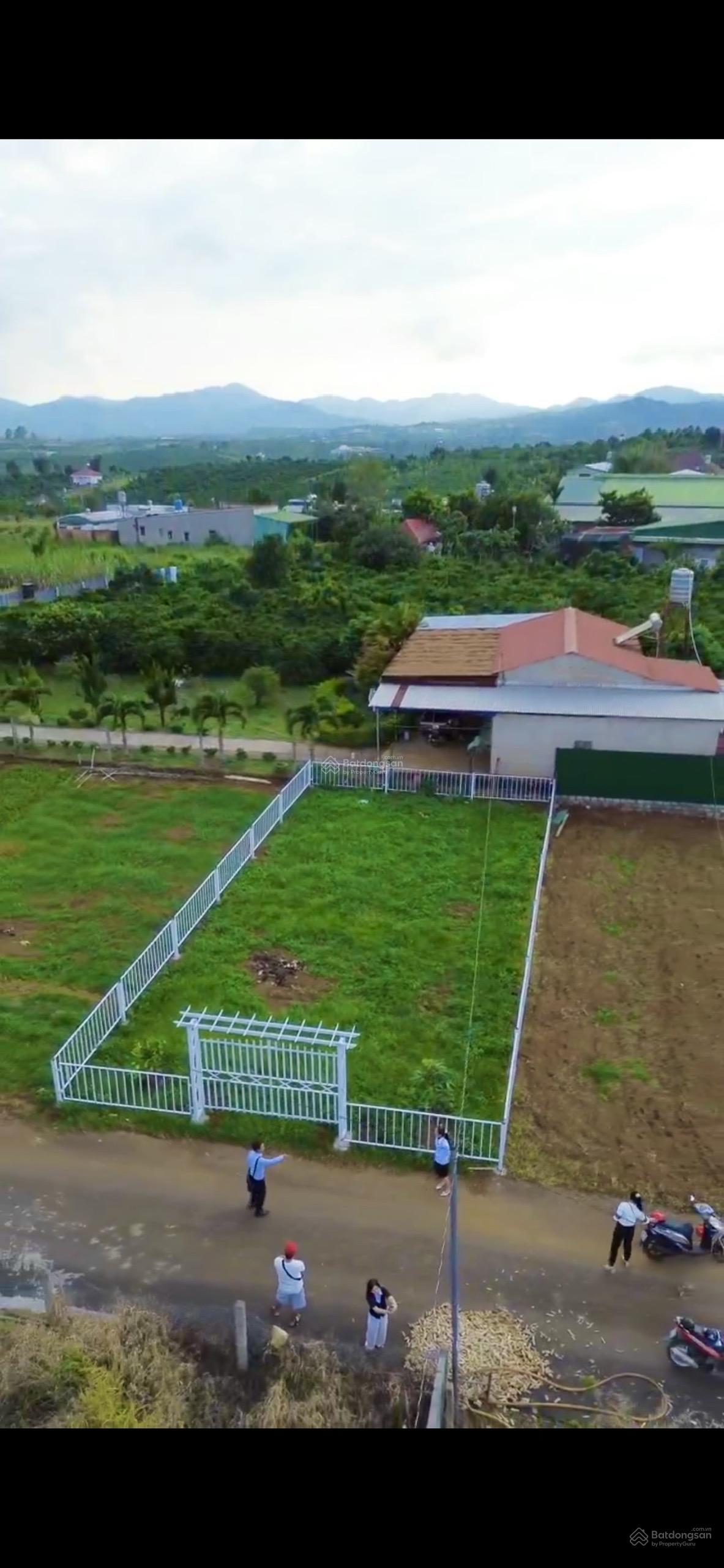 Bán đất 213,6m2 có 100m2 thổ cư ngang 10m dài 21,4m đường Phùng Hưng, P. Lộc Tiến, TP. Bảo Lộc Bán đất 213,6m2 có 100m2 thổ cư ngang 10m dài 21,4m đường Phùng Hưng, P. Lộc Tiến, TP. Bảo Lộc