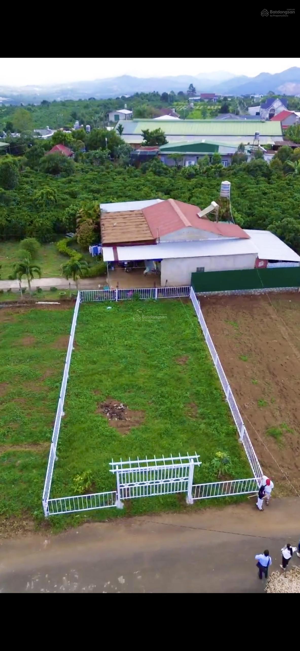 Bán đất 213,6m2 có 100m2 thổ cư ngang 10m dài 21,4m đường Phùng Hưng, P. Lộc Tiến, TP. Bảo Lộc Bán đất 213,6m2 có 100m2 thổ cư ngang 10m dài 21,4m đường Phùng Hưng, P. Lộc Tiến, TP. Bảo Lộc