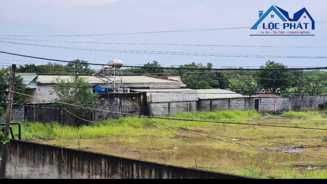 Cho thuê 15000m2 gần QL51 phường Long Hưng chỉ 70 triệu/ tháng