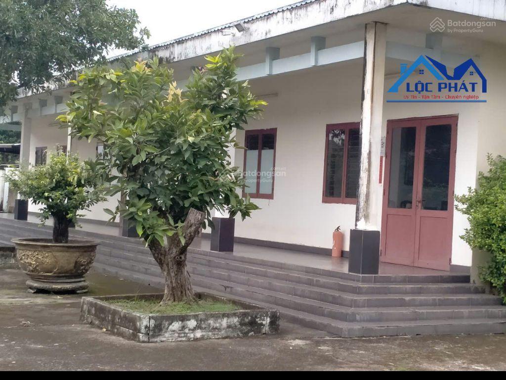 Cho thuê 15000m2 gần QL51 phường Long Hưng chỉ 70 triệu/ tháng