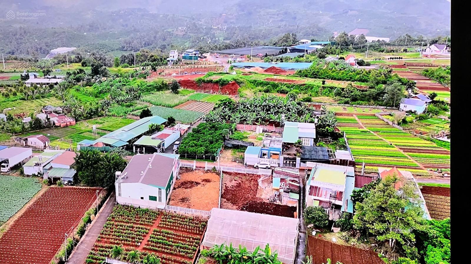 Bán đất Bảo Lộc DT 387m2 ngang rộng 14m sẵn 270m2 thổ cư đường Hoài Thanh, Phường B'Lao, TP.Bảo Lộc