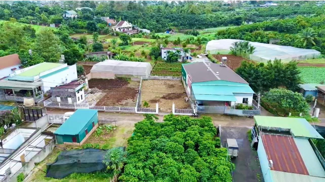 Bán đất Bảo Lộc DT 387m2 ngang rộng 14m sẵn 270m2 thổ cư đường Hoài Thanh, Phường B'Lao, TP.Bảo Lộc