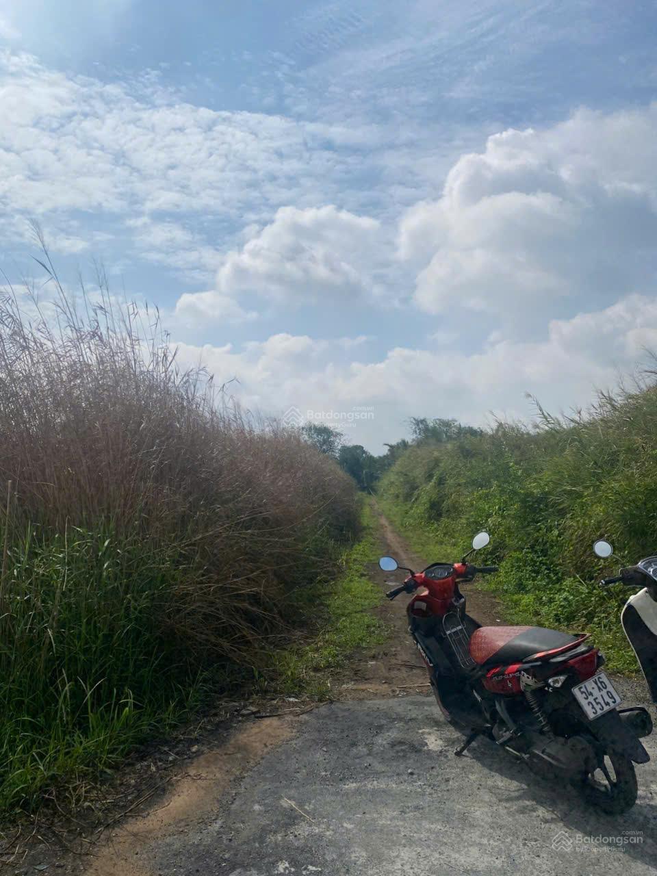 Bán đất mặt tiền sông Sài Gòn đường Trung An, thuộc Xã Trung An, Chủ Chi Bán đất mặt tiền sông Sài Gòn đường Trung An, thuộc Xã Trung An, Chủ Chi