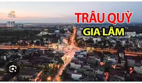 Cho thuê nhà phố làm văn phòng, kho. Trâu Quỳ Gia Lâm 120m2 8tr/tháng đường 11m Cho thuê nhà phố làm văn phòng, kho. Trâu Quỳ Gia Lâm 120m2 8tr/tháng đường 11m