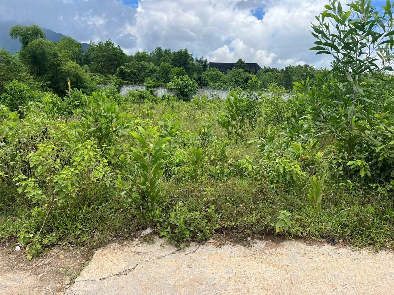 Bán 2000m2 đất vườn. Ngang 48m. Đường trước đất 5m. Gần vành đai Nam Kỳ Khởi Nghĩa 200m