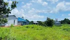 Bán đất Bưng Riềng DT: 351m2 có 80m2 thổ cư ngang 10mx35m cách chợ 500m, cách biển Hồ Cốc 5km