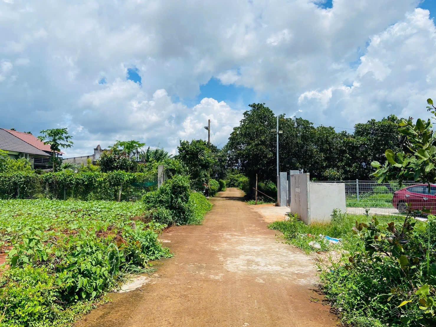 Bán đất Bưng Riềng DT: 351m2 có 80m2 thổ cư ngang 10mx35m cách chợ 500m, cách biển Hồ Cốc 5km