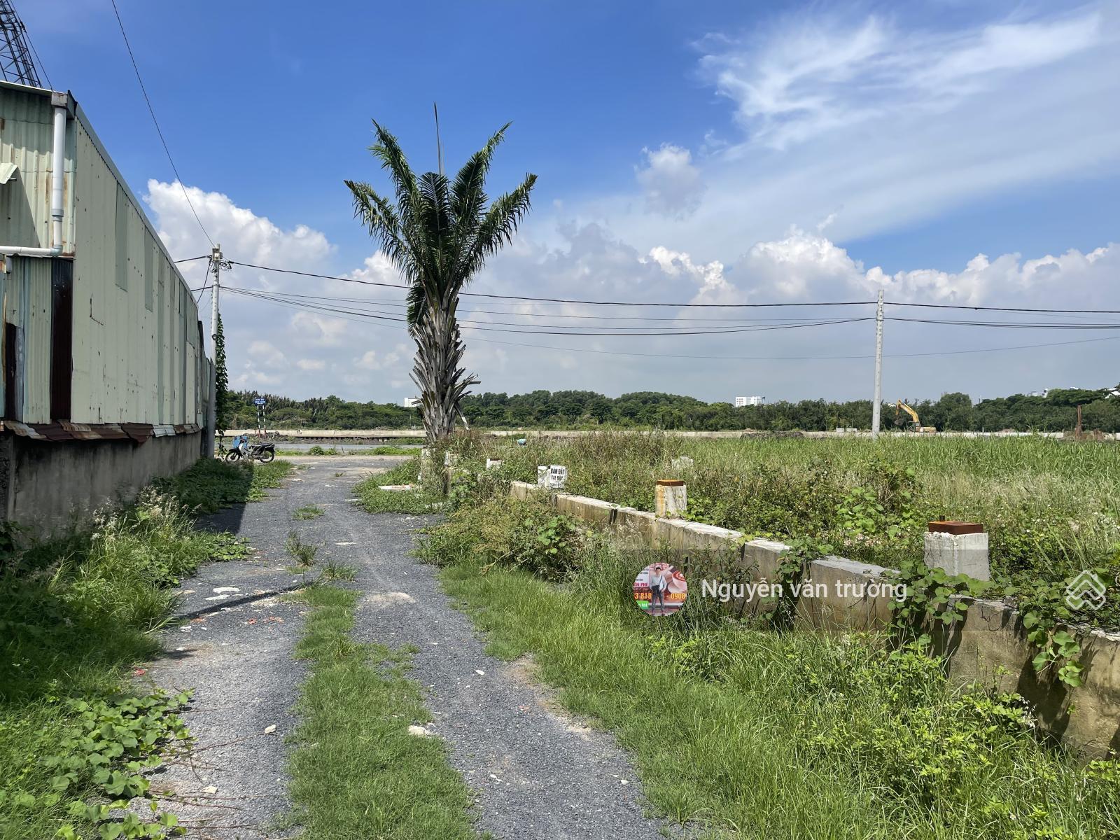 Bán đất Vườn Lài mặt tiền sông Vàm Thuật vào 1 sẹc Bán đất Vườn Lài mặt tiền sông Vàm Thuật vào 1 sẹc