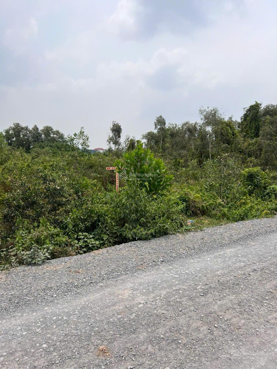 Bán 1046.6m2 đất xã Thái Mỹ, Củ Chi. Đất đẹp, vuông vắn, giá tốt nhất khu vực, LH 0944 874 ***