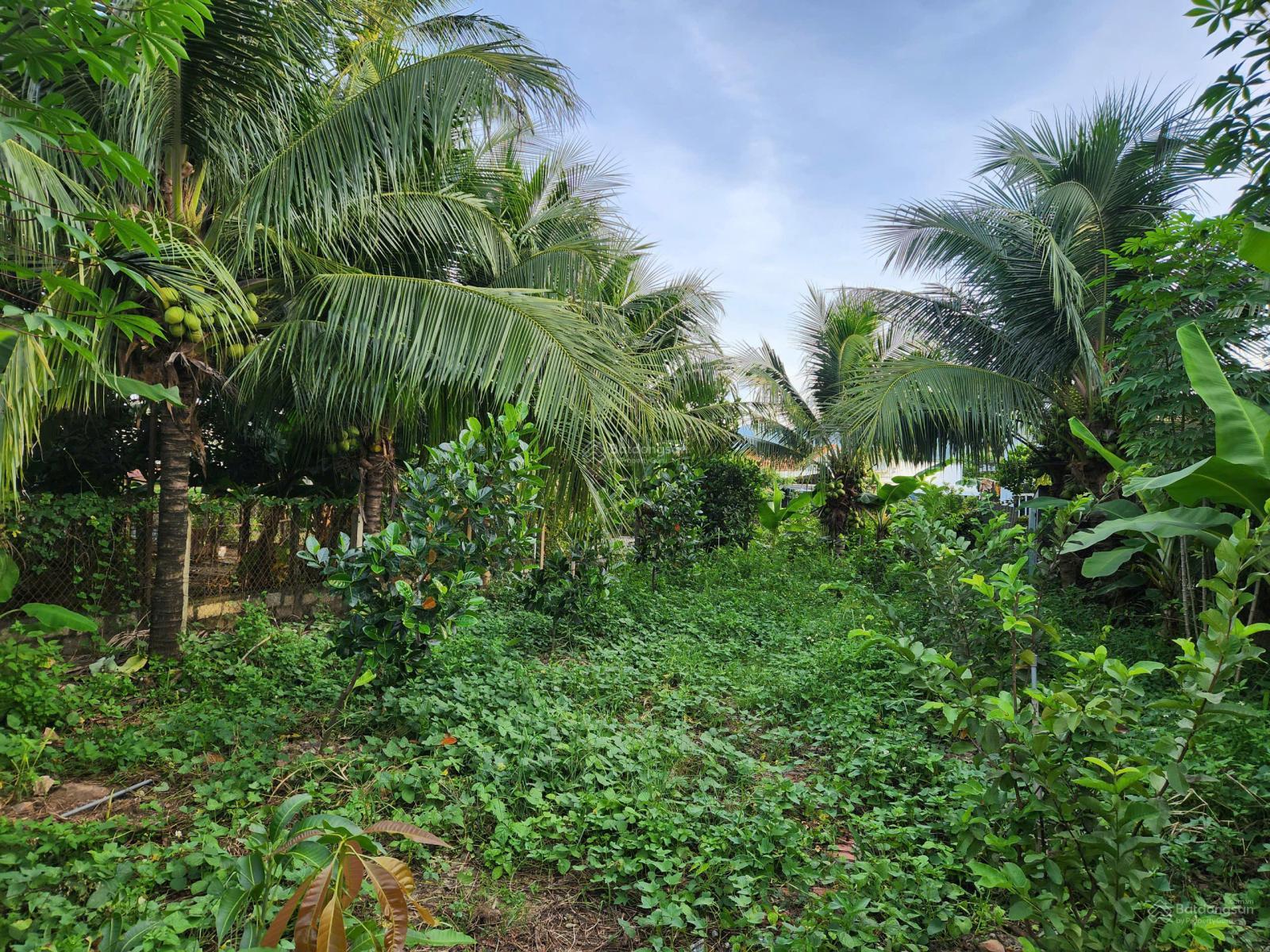 Lô đất hai mặt tiền Tỉnh Lộ 2 trung tâm Diên Thọ