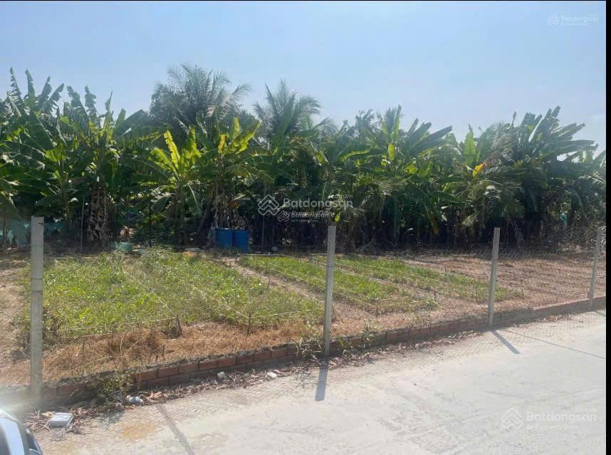 Hạ giá bán rẻ đất nhà vườn THỔ Phú Hữu Nhơn Trạch SÁT TP.HCM, oto, SHR chính chủ. GỌI NGAY 24/24H