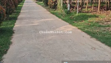 Tôi chính chủ cần bán đất 367m2 giá 1 tỷ đồng, mặt tiền trung tâm xã Gia Viễn, Cát Tiên, Lâm Đồng