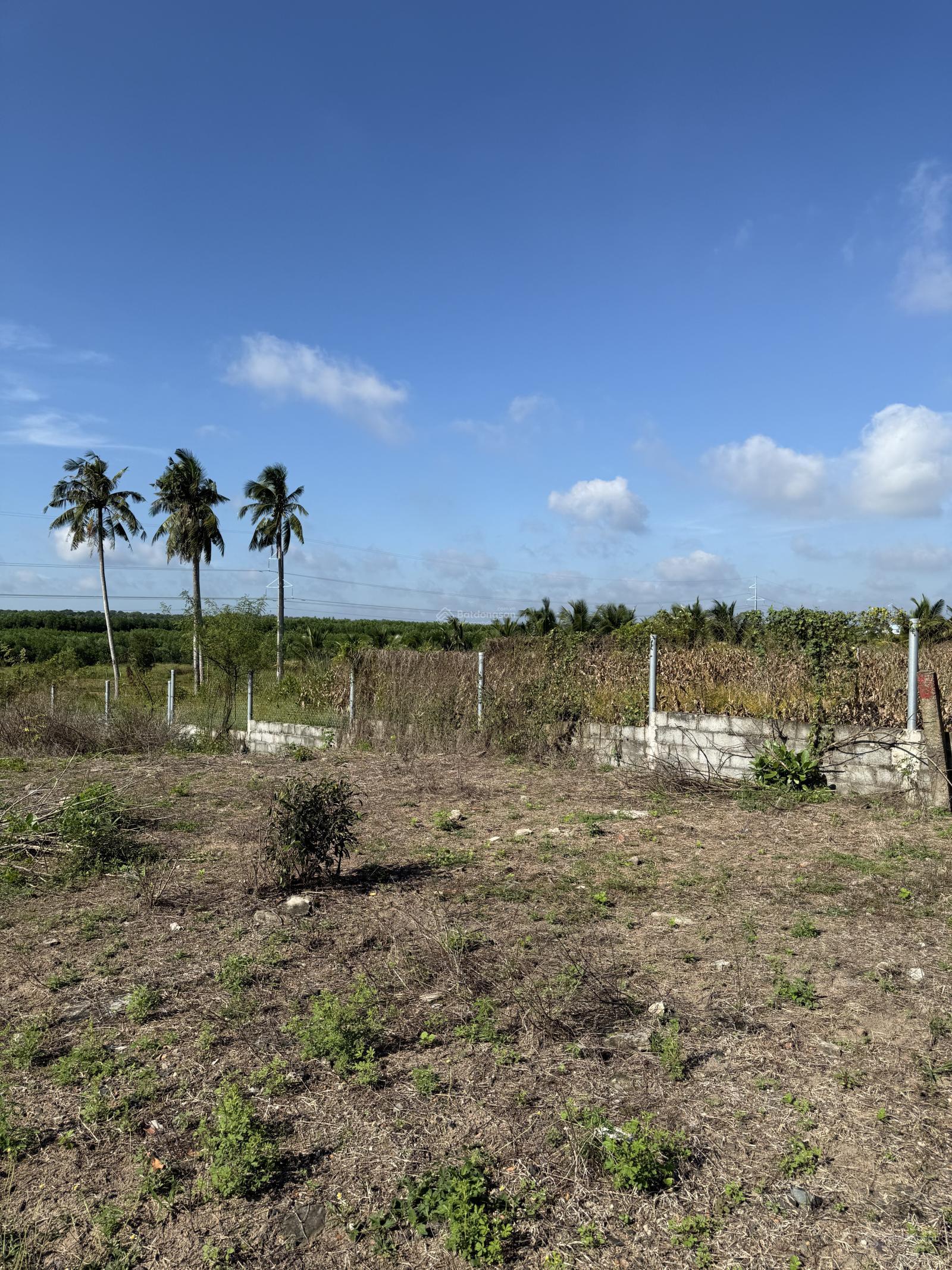 Bán đất Bình Châu DT: 1500m2 có 150m2 thổ cư, view ruộng lúa, đường nhựa, thích hợp làm nhà vườn