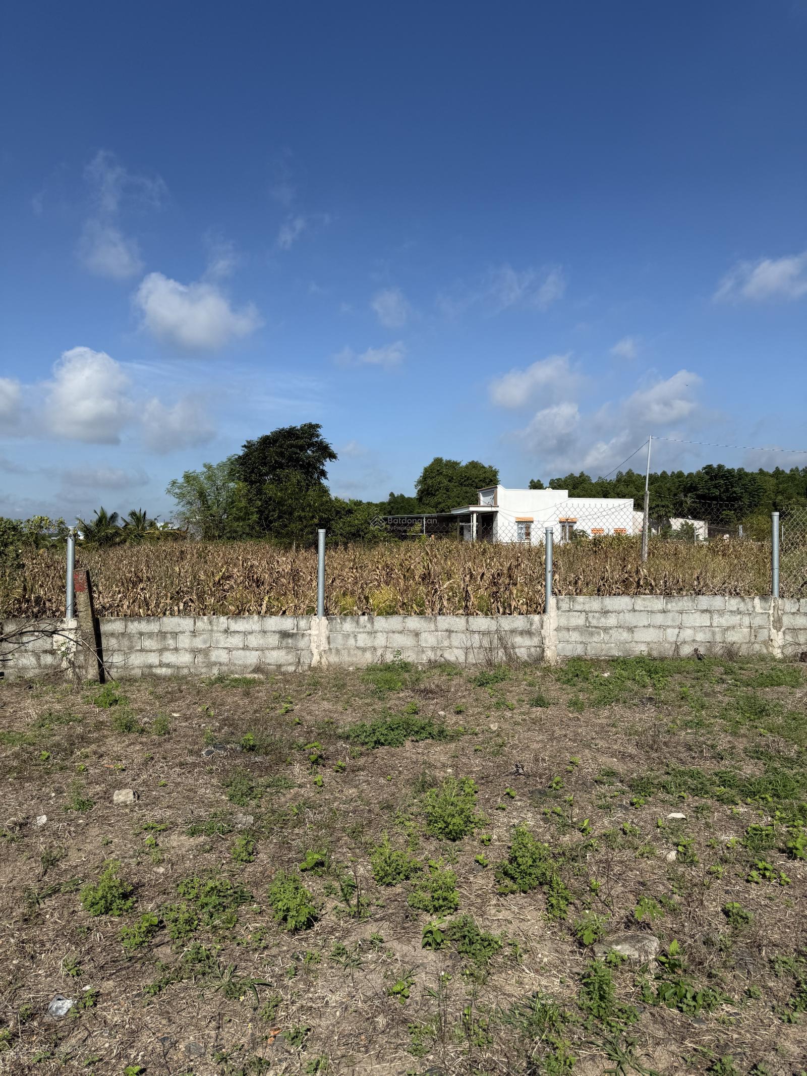 Bán đất Bình Châu DT: 1500m2 có 150m2 thổ cư, view ruộng lúa, đường nhựa, thích hợp làm nhà vườn