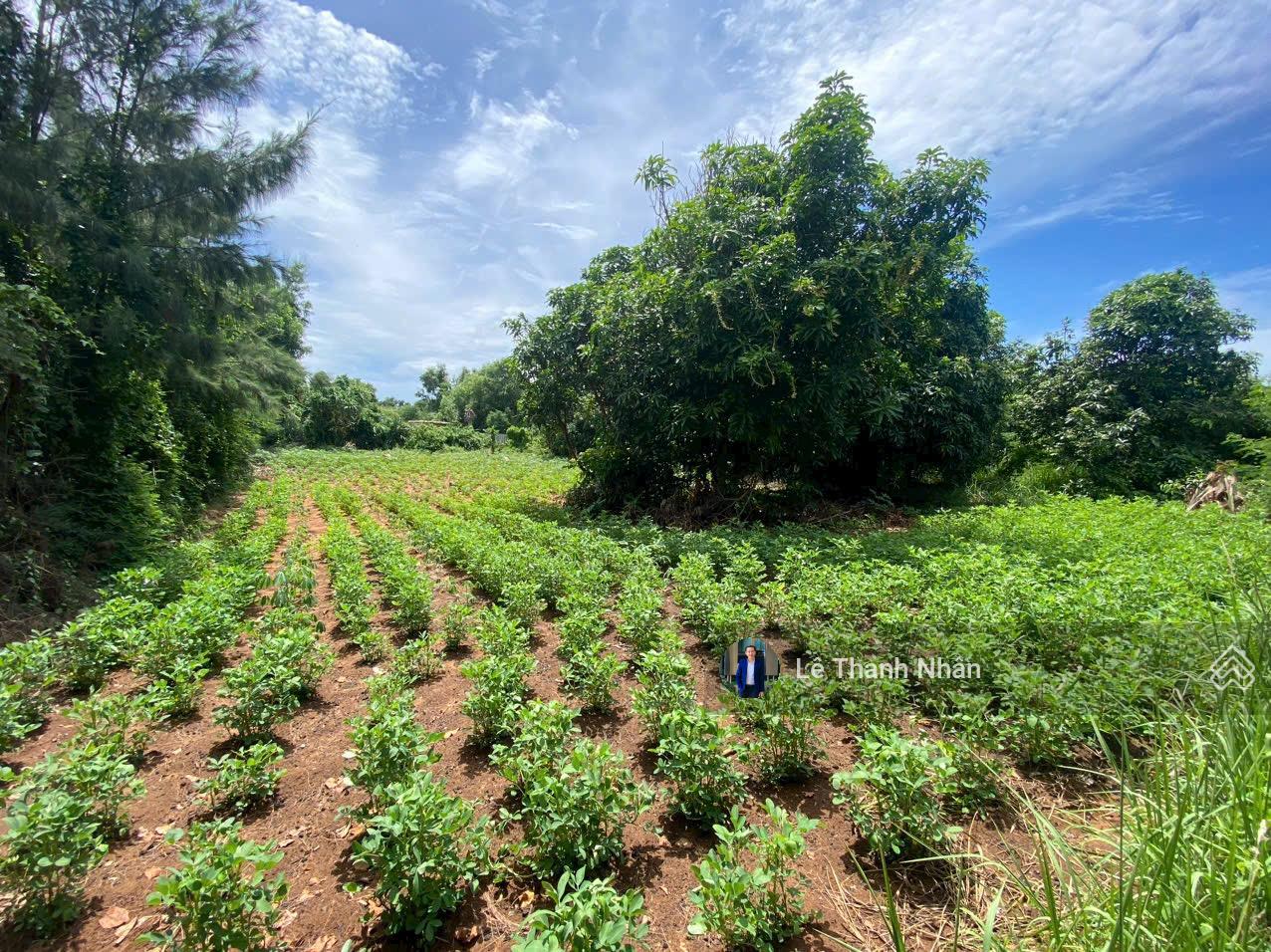 Siêu phẩm mặt tiền khủng 38m đường Tôn Đức Thắng, trung tâm đặc khu Phú Quý